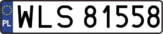 WLS81558