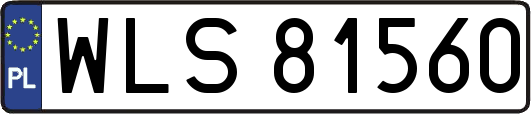 WLS81560