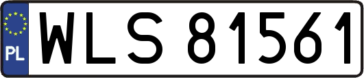 WLS81561