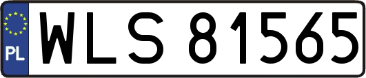 WLS81565