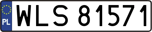 WLS81571