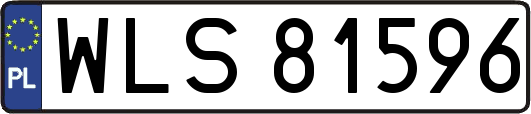 WLS81596