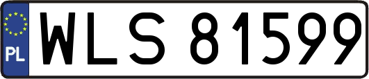 WLS81599