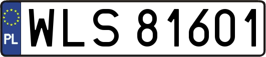 WLS81601