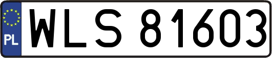 WLS81603