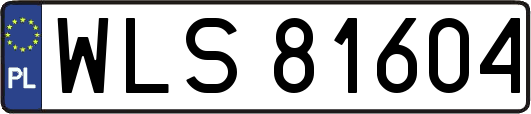 WLS81604