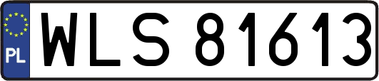WLS81613