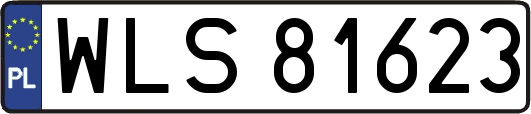 WLS81623