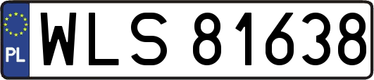 WLS81638