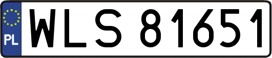 WLS81651