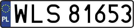 WLS81653