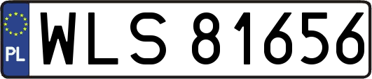 WLS81656