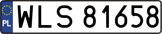 WLS81658