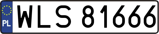 WLS81666