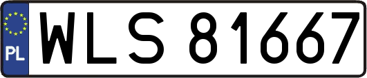 WLS81667
