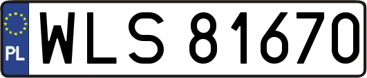 WLS81670