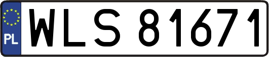 WLS81671