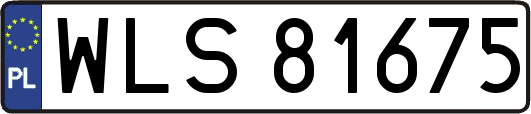 WLS81675