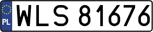 WLS81676