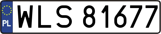 WLS81677