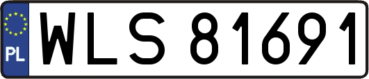 WLS81691