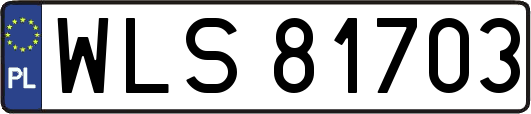 WLS81703
