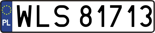 WLS81713