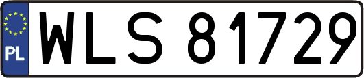 WLS81729