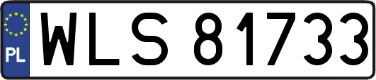 WLS81733