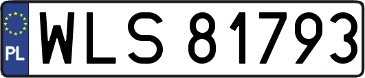 WLS81793