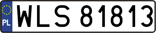 WLS81813