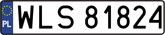 WLS81824