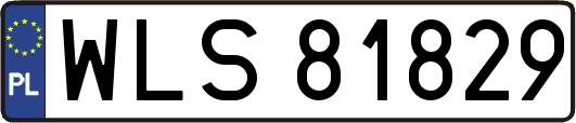 WLS81829