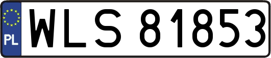 WLS81853