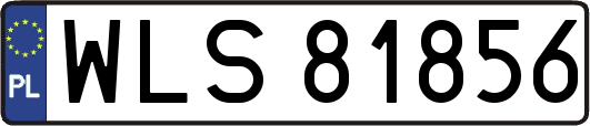 WLS81856