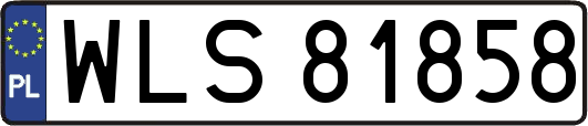 WLS81858