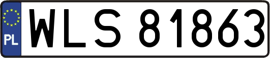 WLS81863