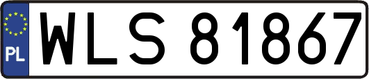WLS81867