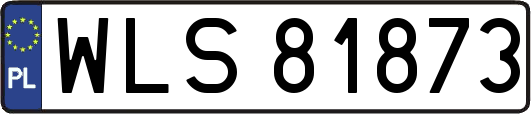 WLS81873