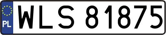 WLS81875