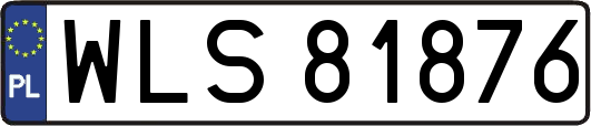 WLS81876