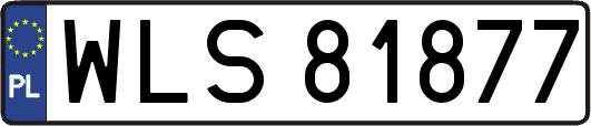 WLS81877