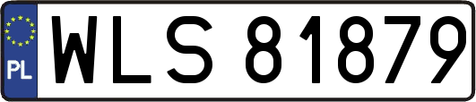 WLS81879