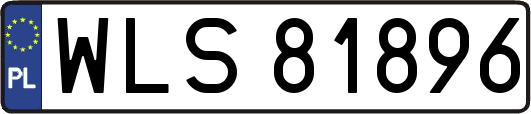 WLS81896