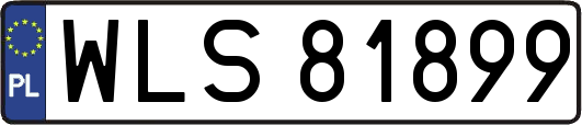 WLS81899