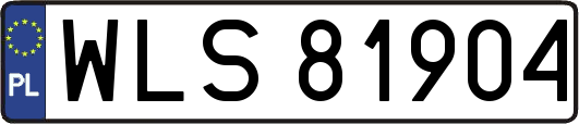 WLS81904