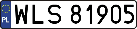 WLS81905