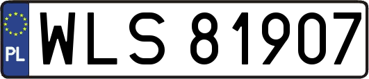 WLS81907