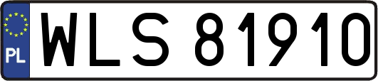WLS81910