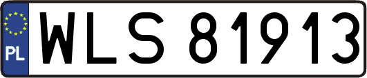 WLS81913